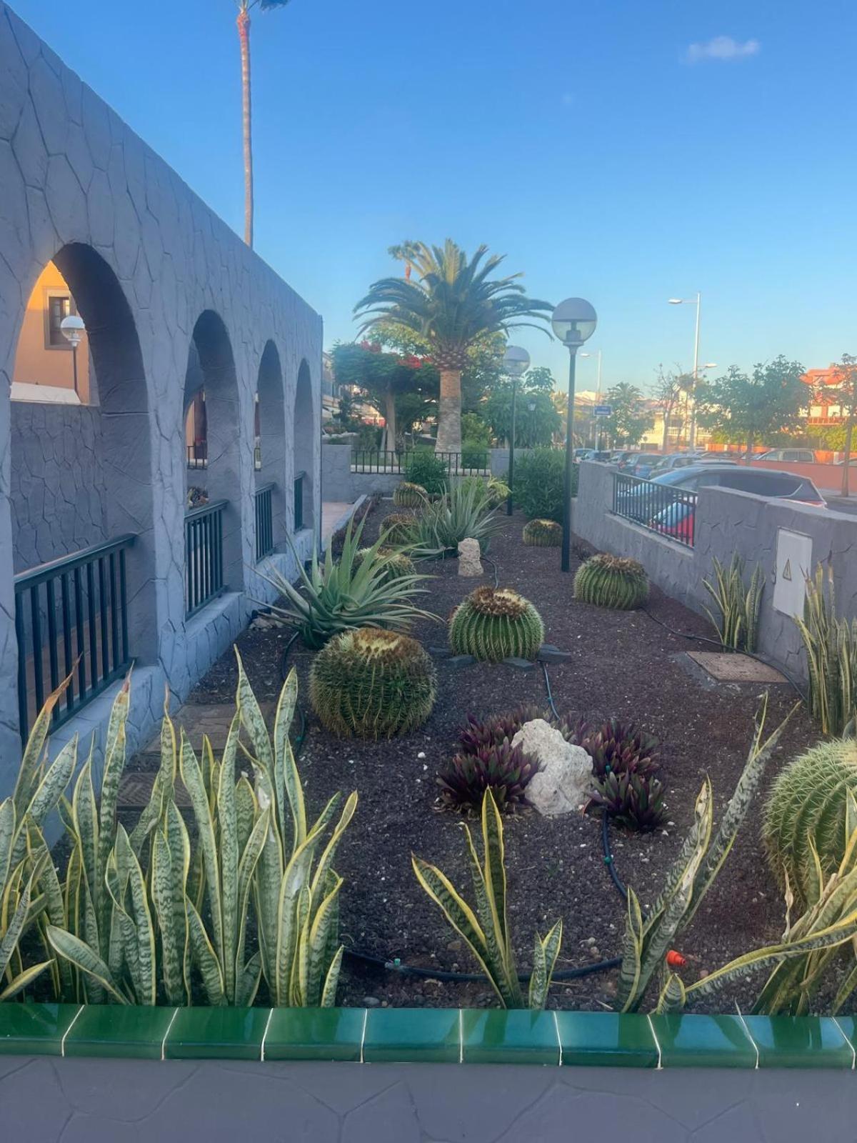 Apartmán Casa Montana Amarilla 60 Costa Del Silencio Exteriér fotografie