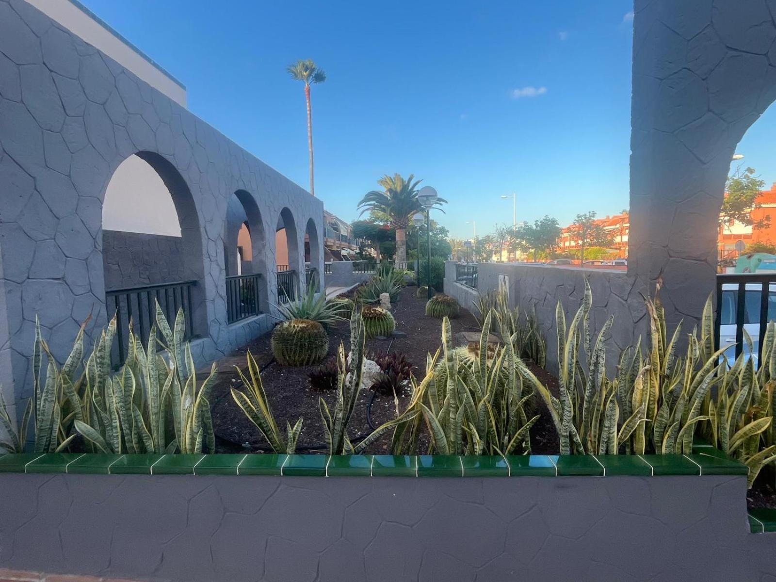Apartmán Casa Montana Amarilla 60 Costa Del Silencio Exteriér fotografie