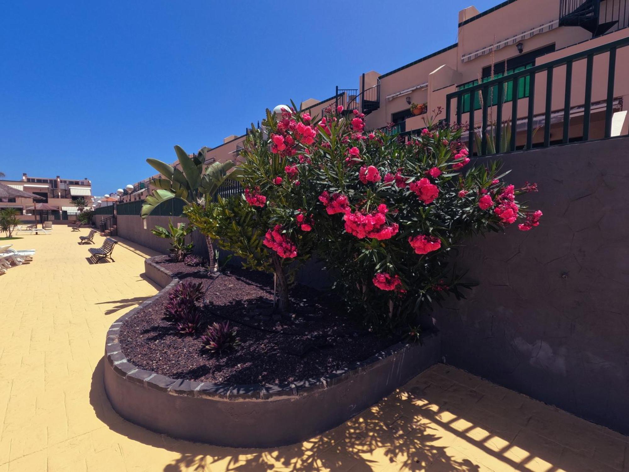 Apartmán Casa Montana Amarilla 60 Costa Del Silencio Exteriér fotografie